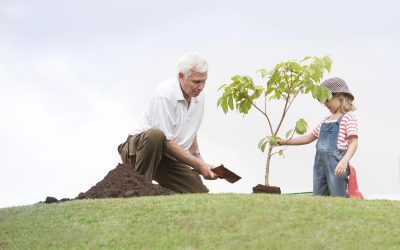 Building Your Personal Board: Pioneering the Modern Family Office Model