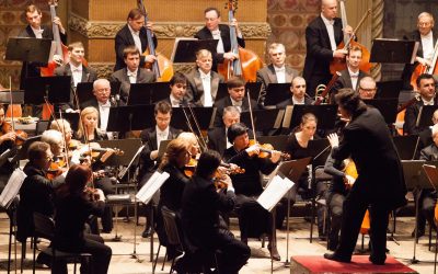 The Power of Collective Expertise: Real-World Case Studies in Wealth Management